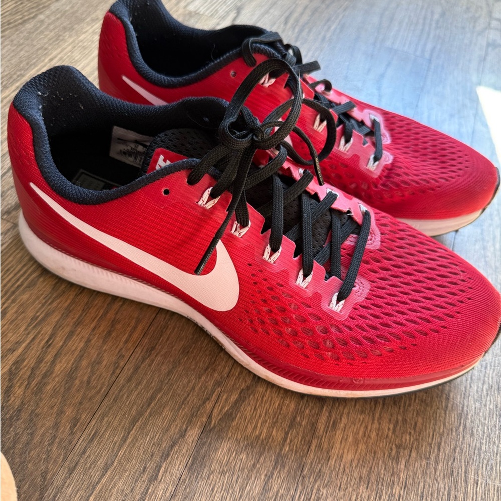 Nike Men's Pegasus Red Running Shoes